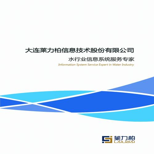 大连莱力柏信息技术股份